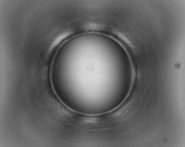 X0000091081309200708061328