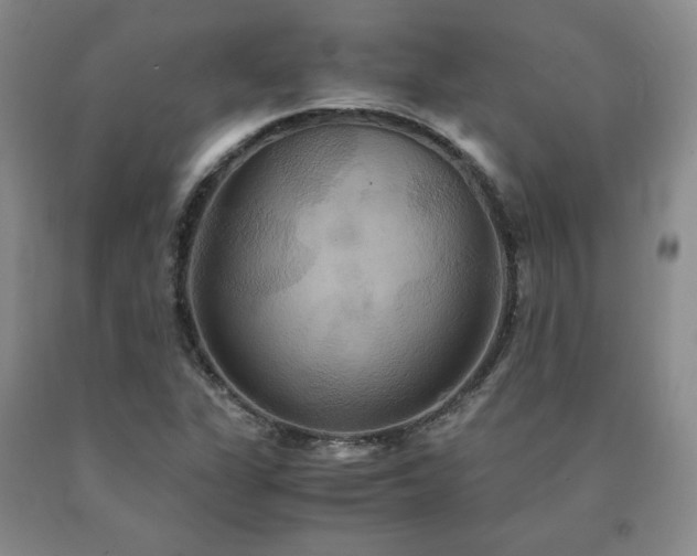 X0000091081311200708061328