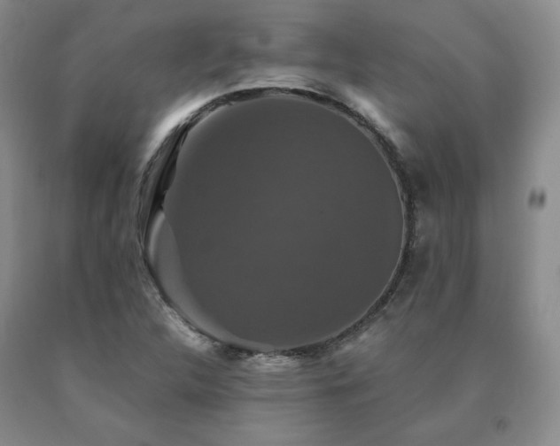 X0000091081312200708061328