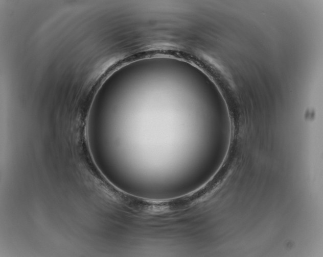X0000091081313200708061329