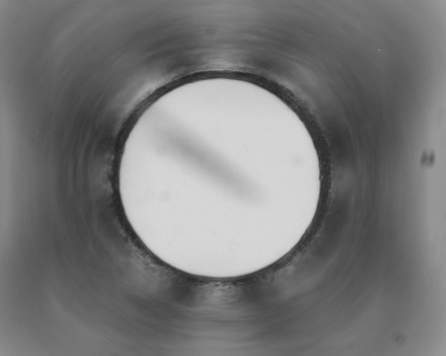 X0000091081314200708061329
