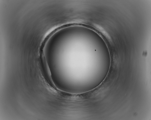 X0000091081316200708061329