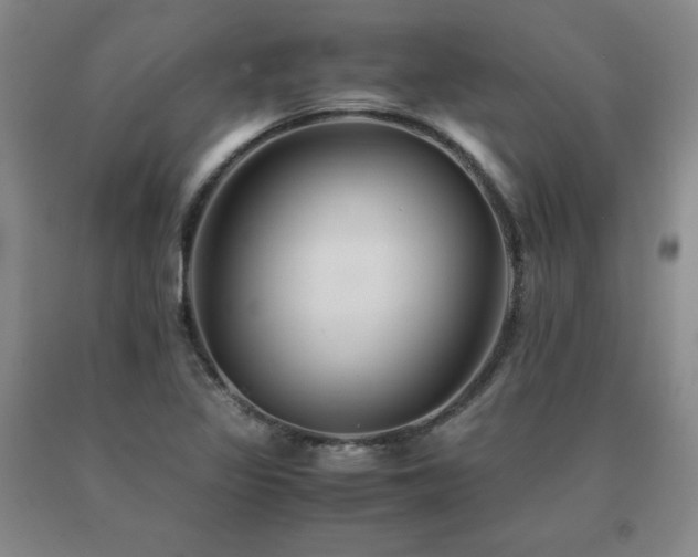 X0000091081317200708061329
