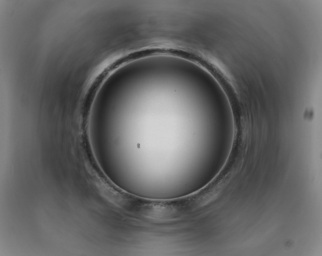 X0000091081318200708061329