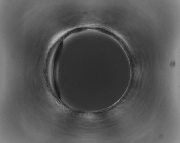 X0000091081319200708061329