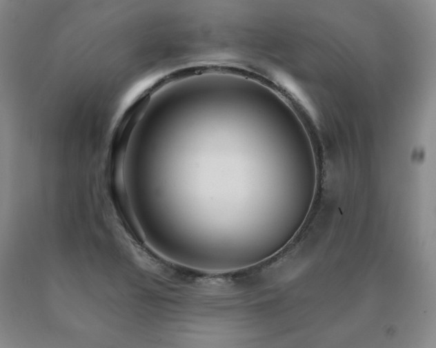 X0000091081320200708061329
