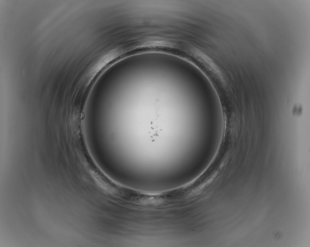 X0000091081321200708061329