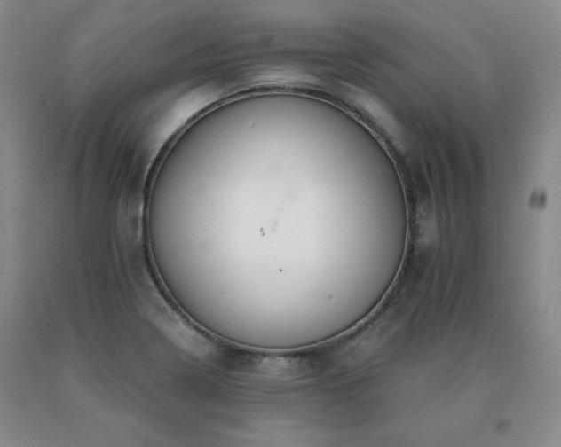X0000091081322200708061329