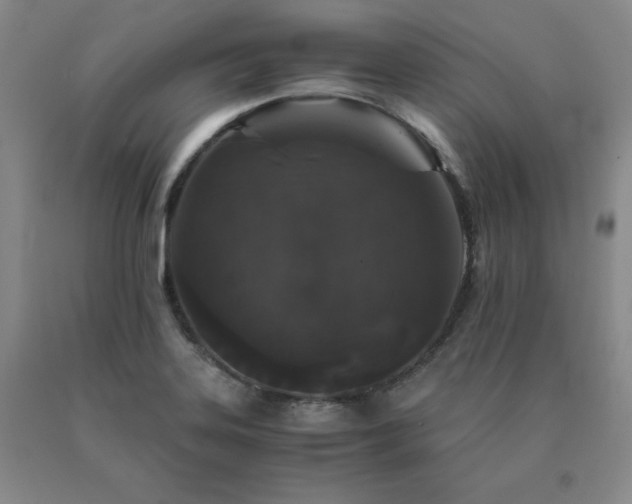 X0000091081323200708061329