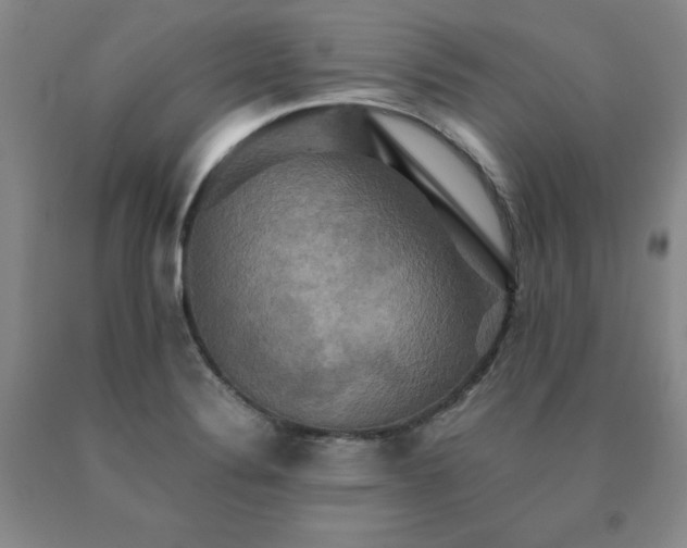 X0000091081324200708061329