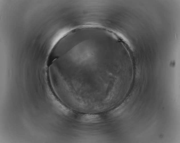 X0000091081325200708061329