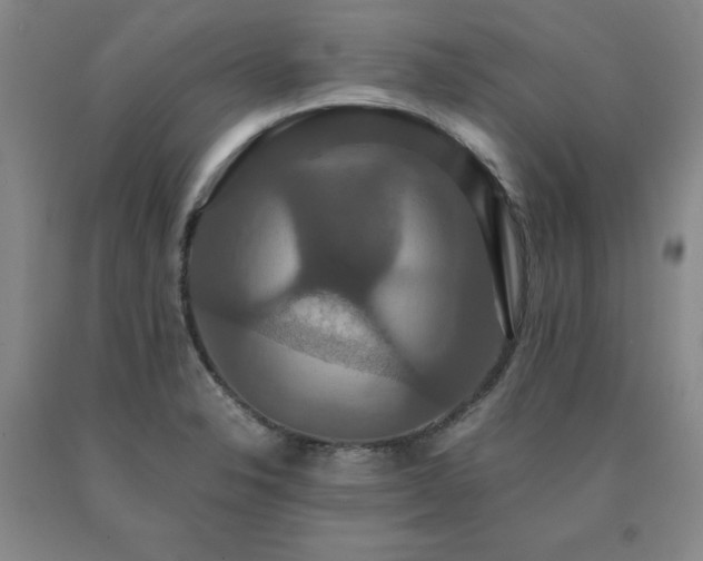 X0000091081326200708061329