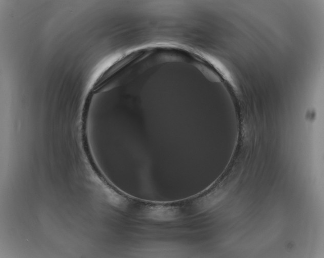 X0000091081327200708061329