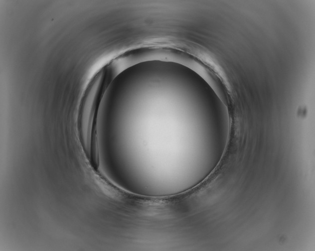 X0000091081328200708061329