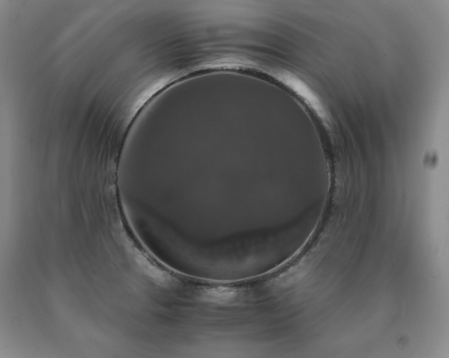 X0000091081329200708061329