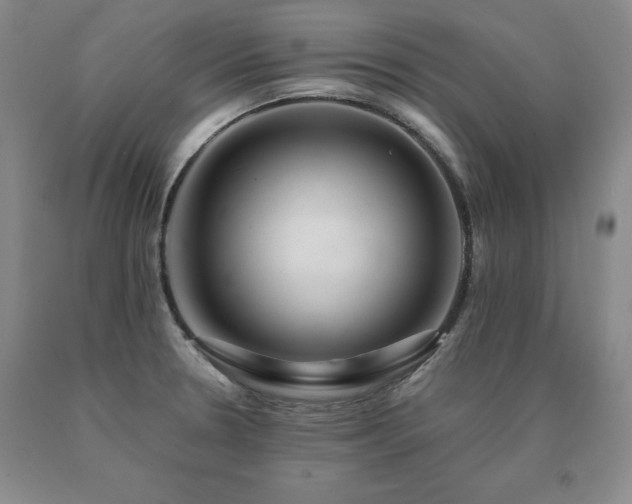 X0000091081330200708061329