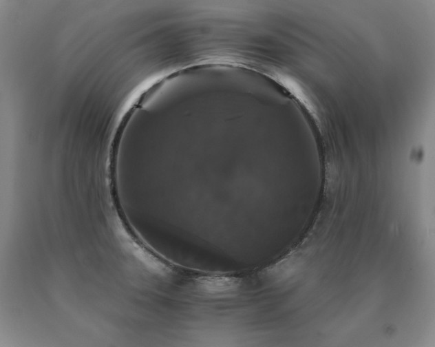 X0000091081331200708061329