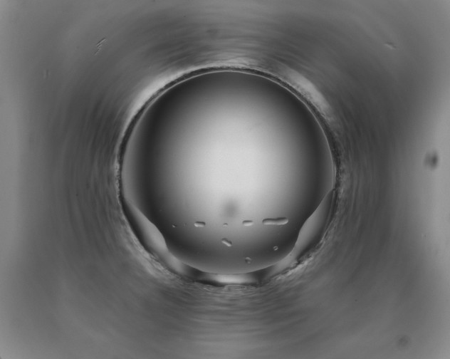 X0000091081332200708061329