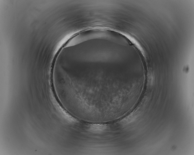 X0000091081333200708061329