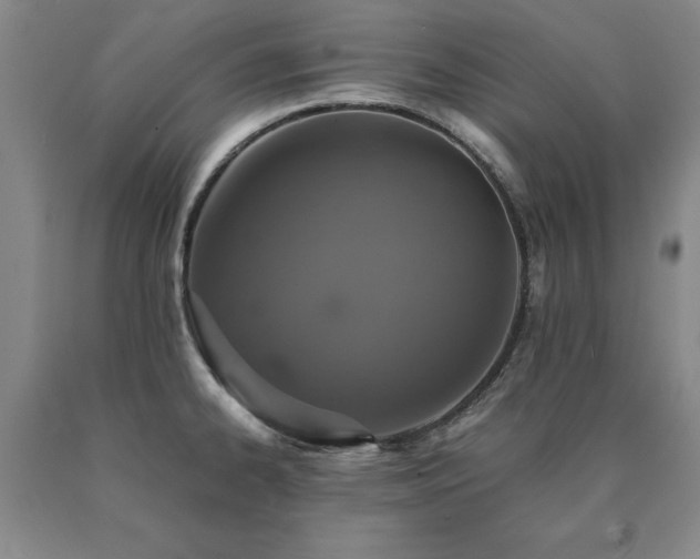 X0000091081334200708061329