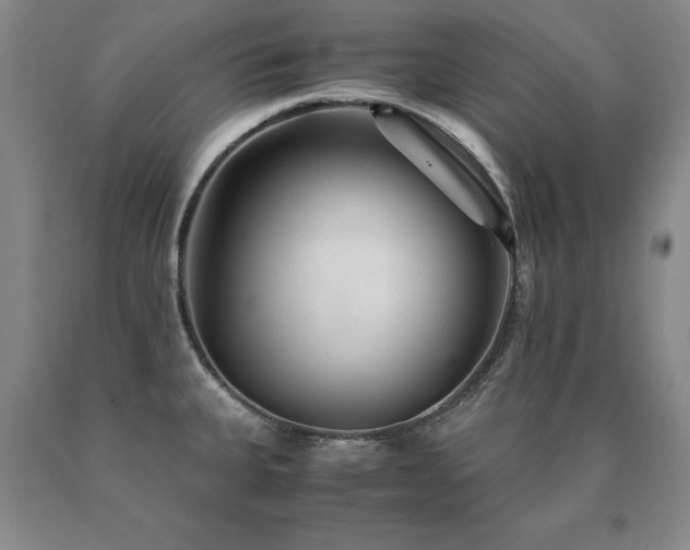 X0000091081335200708061329