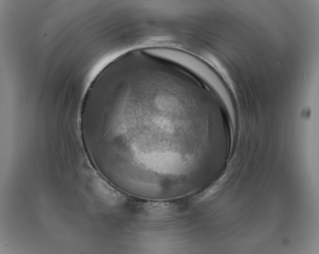X0000091081336200708061329