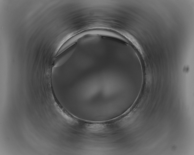 X0000091081337200708061329
