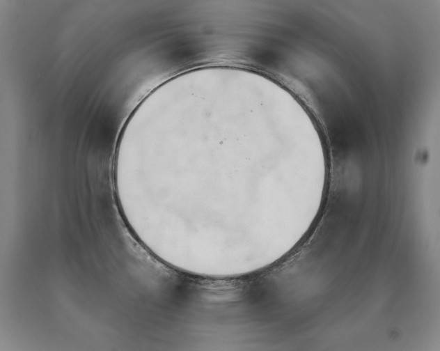 X0000091081338200708061329