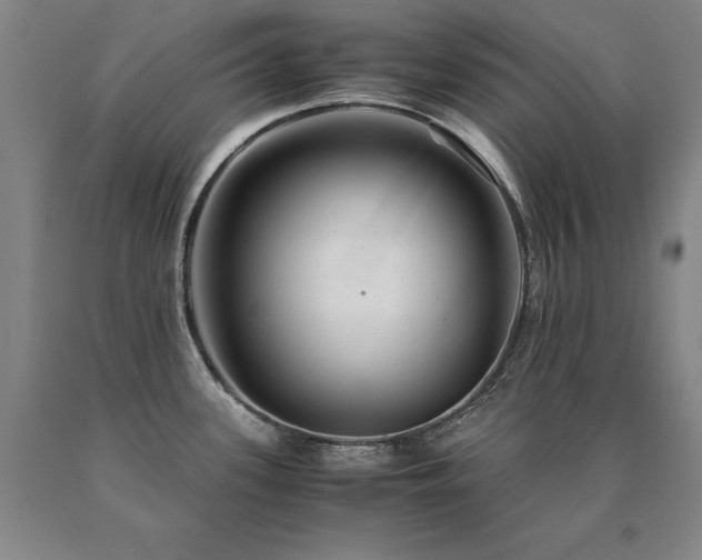 X0000091081339200708061329