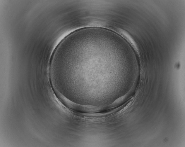 X0000091081340200708061329