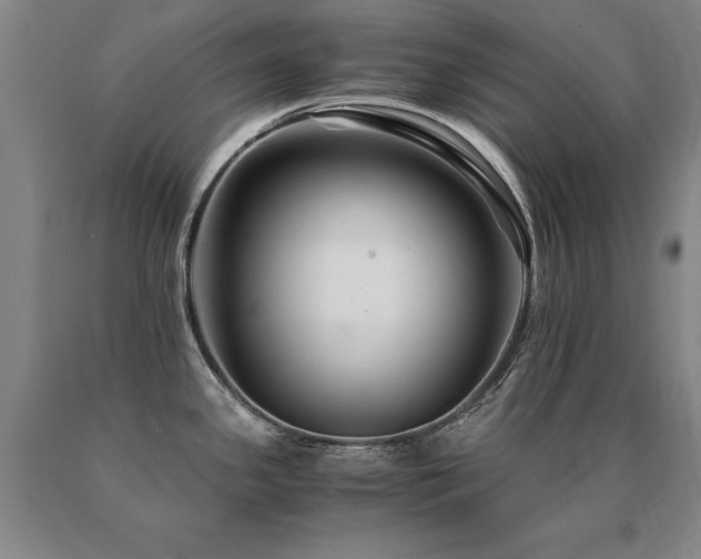 X0000091081341200708061329