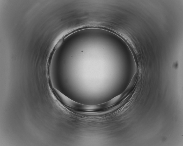 X0000091081342200708061329