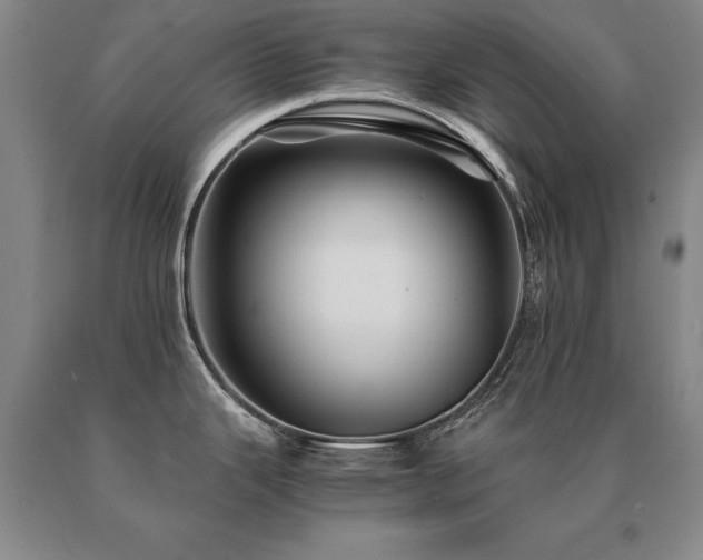 X0000091081343200708061329