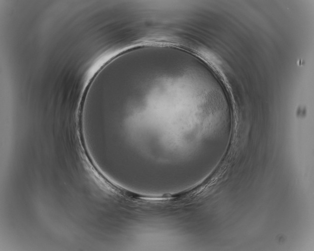 X0000091081344200708061329