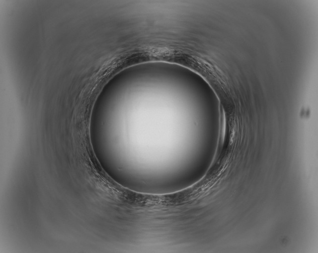 X0000091081345200708061328