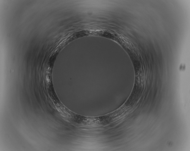 X0000091081346200708061328