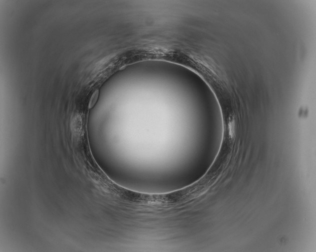 X0000091081347200708061328