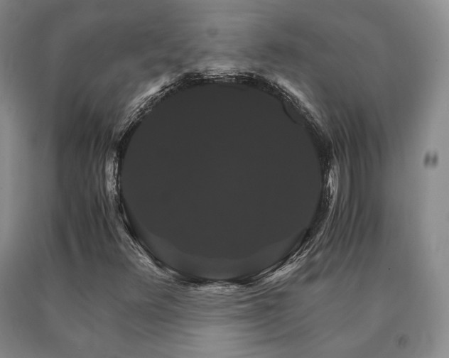 X0000091081348200708061328
