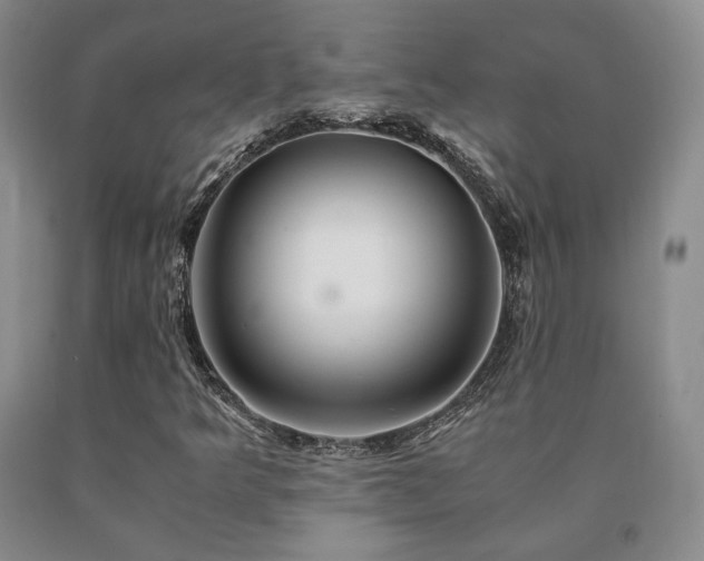 X0000091081349200708061328