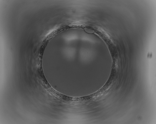 X0000091081350200708061328