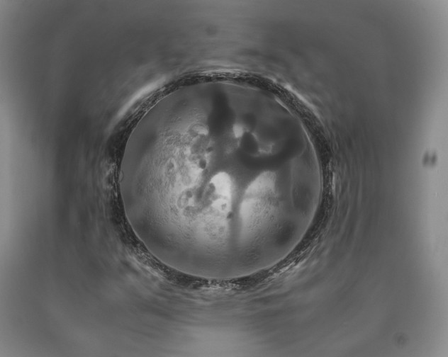 X0000091081351200708061328