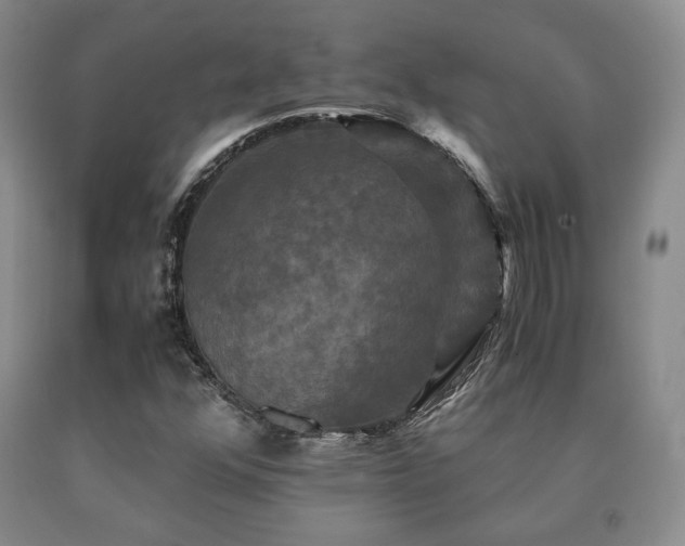 X0000091081352200708061328
