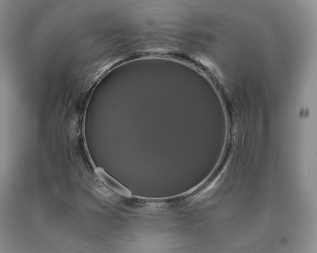 X0000091081353200708061328