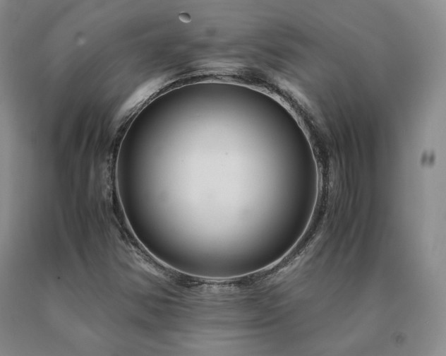X0000091081354200708061328