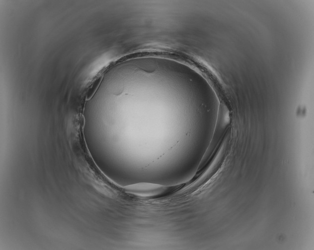 X0000091081355200708061328