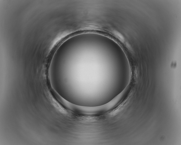 X0000091081356200708061328