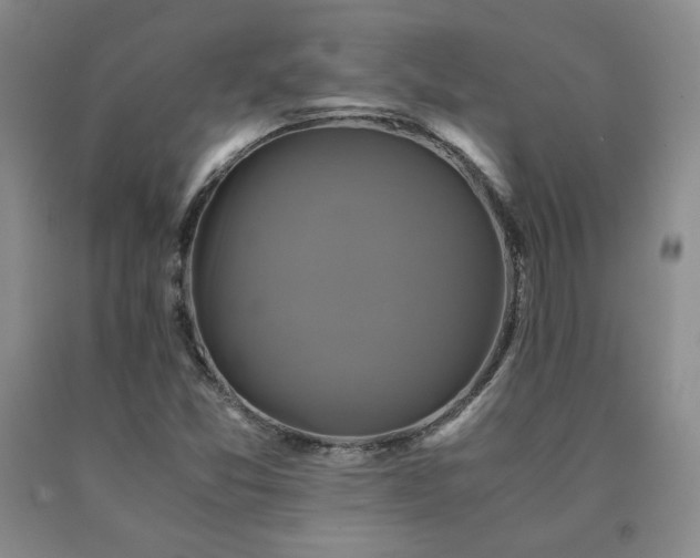 X0000091081357200708061328