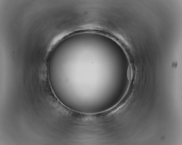 X0000091081358200708061328