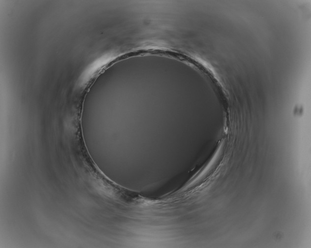 X0000091081359200708061328
