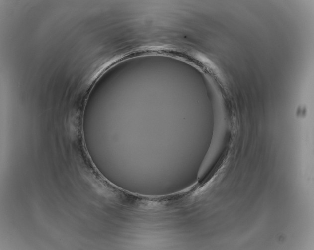 X0000091081361200708061328